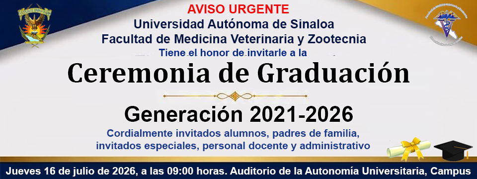 graduación graduación